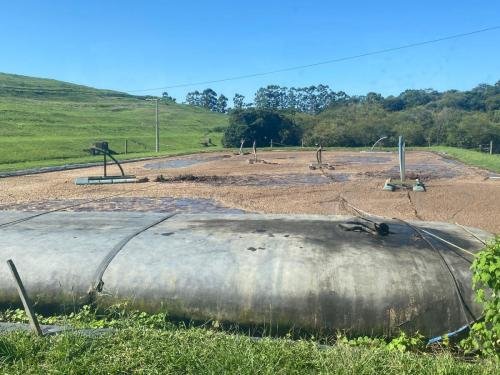 WhatsApp-Image-2024-03-12-at-17.47.05