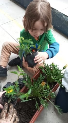 20ab3ad1-1111-454f-b073-922391d9a0b8