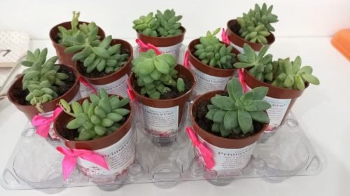 25cd4520-b05a-4209-bb2c-343cb5b9e14b