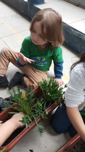 8ae583c4-e73f-44e1-b60a-c649e348a611