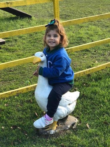 WhatsApp-Image-2024-05-20-at-18.28.23