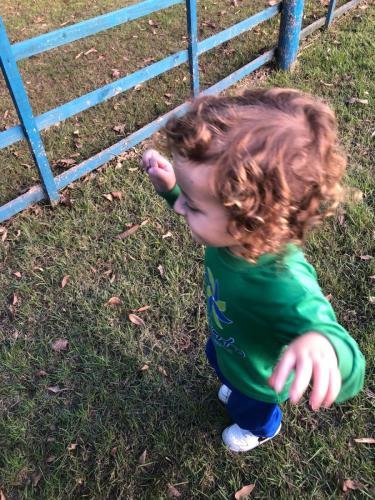 WhatsApp-Image-2024-05-20-at-18.28.25