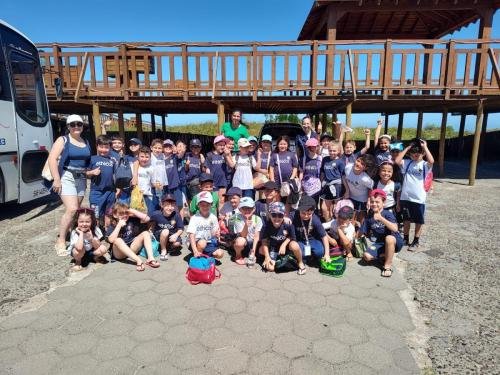 WhatsApp-Image-2024-10-21-at-17.38.16