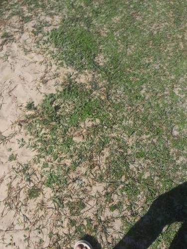 WhatsApp-Image-2024-10-21-at-17.48.26-1