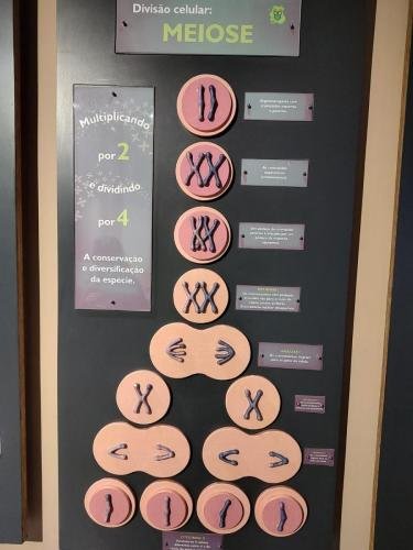 WhatsApp-Image-2024-10-11-at-22.48.18