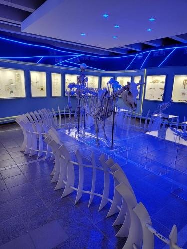 WhatsApp-Image-2024-10-11-at-22.48.19-1