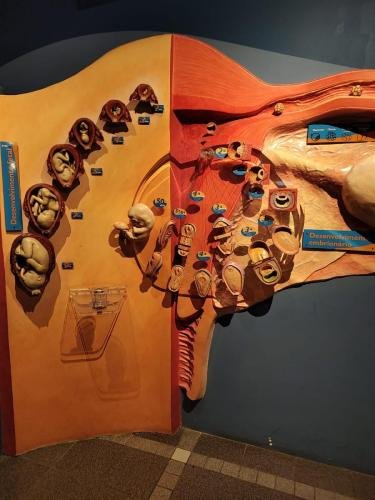 WhatsApp-Image-2024-10-11-at-22.48.19-2