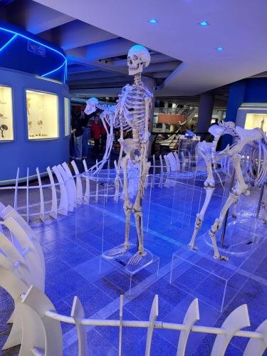 WhatsApp-Image-2024-10-11-at-22.48.19