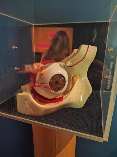 WhatsApp-Image-2024-10-11-at-22.48.20