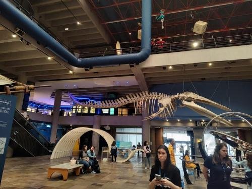 WhatsApp-Image-2024-10-11-at-22.48.55-1