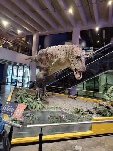 WhatsApp-Image-2024-10-11-at-22.48.55