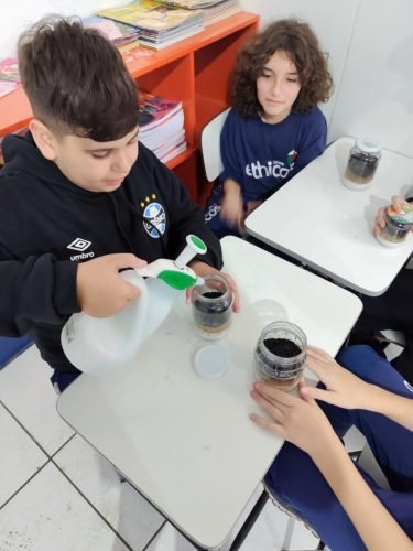 6 ano representação horizontes do solo